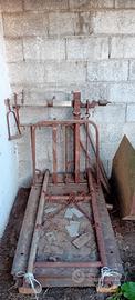 Bassacuna  pesa 10 quintali