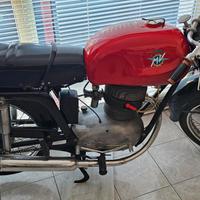 MV Agusta Turismo Lusso - 1955