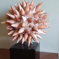 sfera di conchiglie per arredo