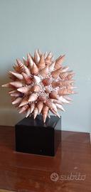 sfera di conchiglie per arredo