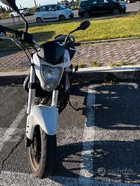 Benelli BN302 2018
