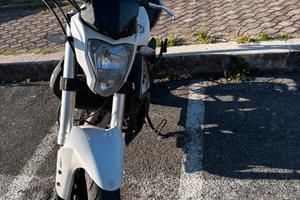 Benelli BN302 2018