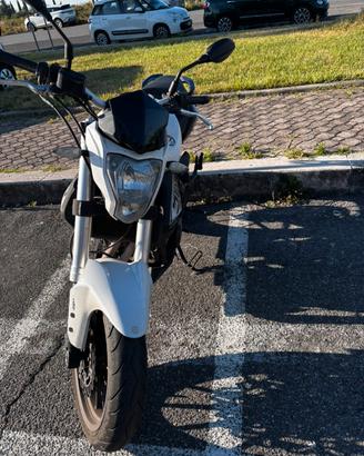 Benelli BN302 2018