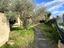 Immagine 24