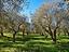 Immagine 13