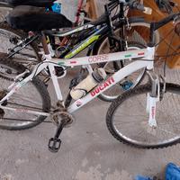 bici ragazzo 
