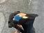 Immagine 2