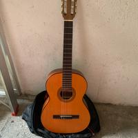 Chitarra acustica
