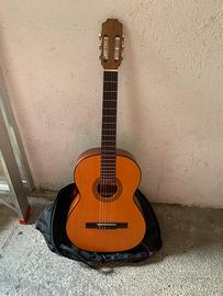 Chitarra acustica