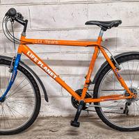 Mountain bike usata pochissimo 