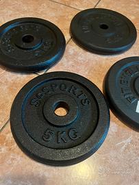 Dischi da 5kg ferro ghisa palestra + kettlebell