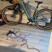 Ebike bulls copperhead evo2