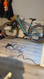 Ebike bulls copperhead evo2