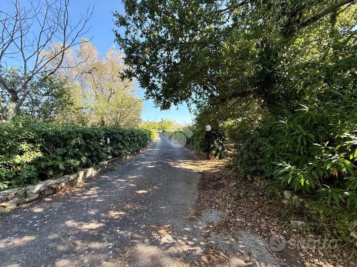 Casa – Ceglie Messapica, Brindisi - Vista 4