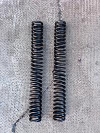Kawasaki Z750 Coppia molle Forcella