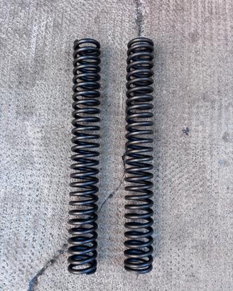 Kawasaki Z750 Coppia molle Forcella