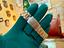 Immagine 12