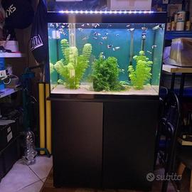 Acquario Askoll 125 L