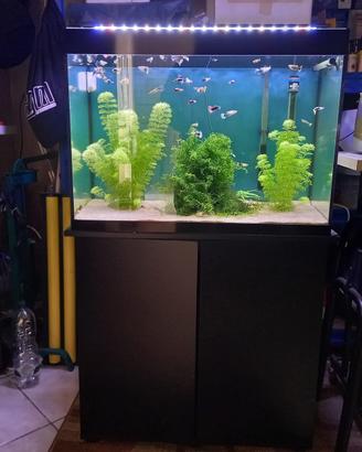 Acquario Askoll 125 L