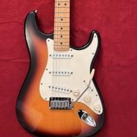 ROYTEK GUITARETRADITIONAL SERIES CUSTOM HAND MADE.