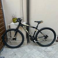 Bicicletta Mountan Bike - Coppi