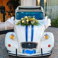 Citroen 2cv - 1981