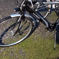 coppia di biciclette 