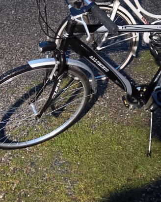 coppia di biciclette 