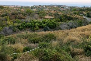Asta - terreno panoramico (valverde)