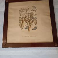 Cornice con stampa antica