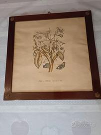 Cornice con stampa antica