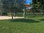 Immagine 30