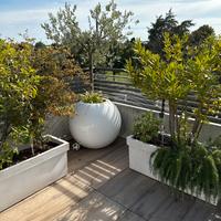 Set Vasi bianchi da esterno con pianta