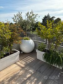 Set Vasi bianchi da esterno con pianta