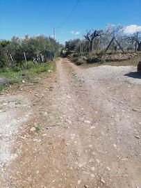 Terreno agricolo-edificabile