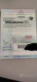 Windows 95 da collezione