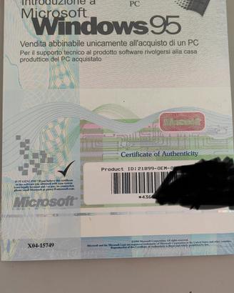Windows 95 da collezione
