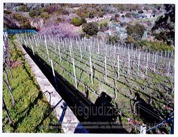 Terreno Agricolo Rio [A4345282]