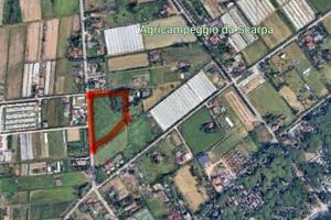 Terreno agricolo 13.000 mq Cavallino-Treporti