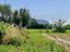 Immagine 19