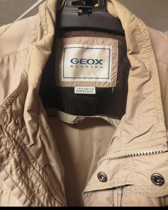 giubbotti estivi Geox 