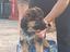 Immagine 2