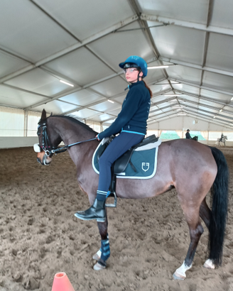 Pony Baio "Beautyfull Hope"