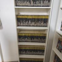 DYLAN DOG totalmente completa di tutto