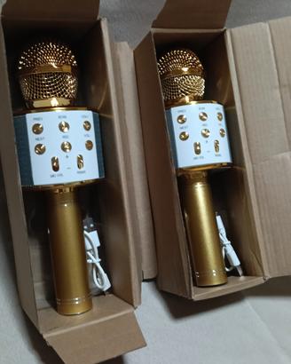 coppia microfoni per karaoke