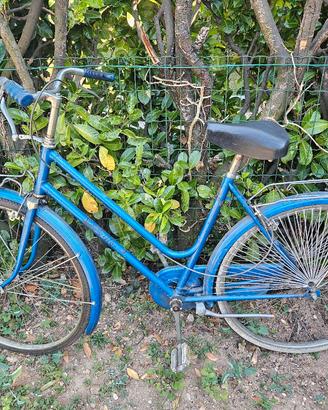 Bici Elite da città con portapacchi