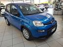 fiat-panda-1-0-firefly-70cv-s-s-hybrid-pandina