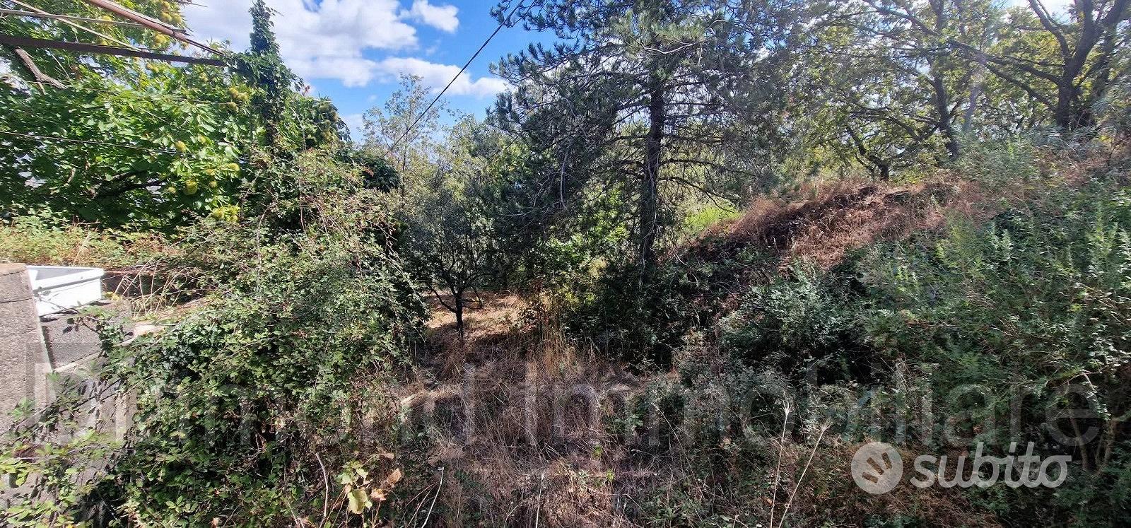Casetta di campagna con terreno a Linguaglossa - Vista 4