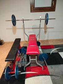 palestra 
