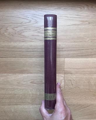 "Anatomia topografica umana" di Fazzari, 1968